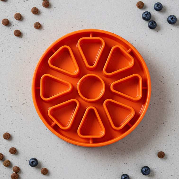 Citrus Softie eTray Shallow Slow Feeder Dog Bowl | USA Made