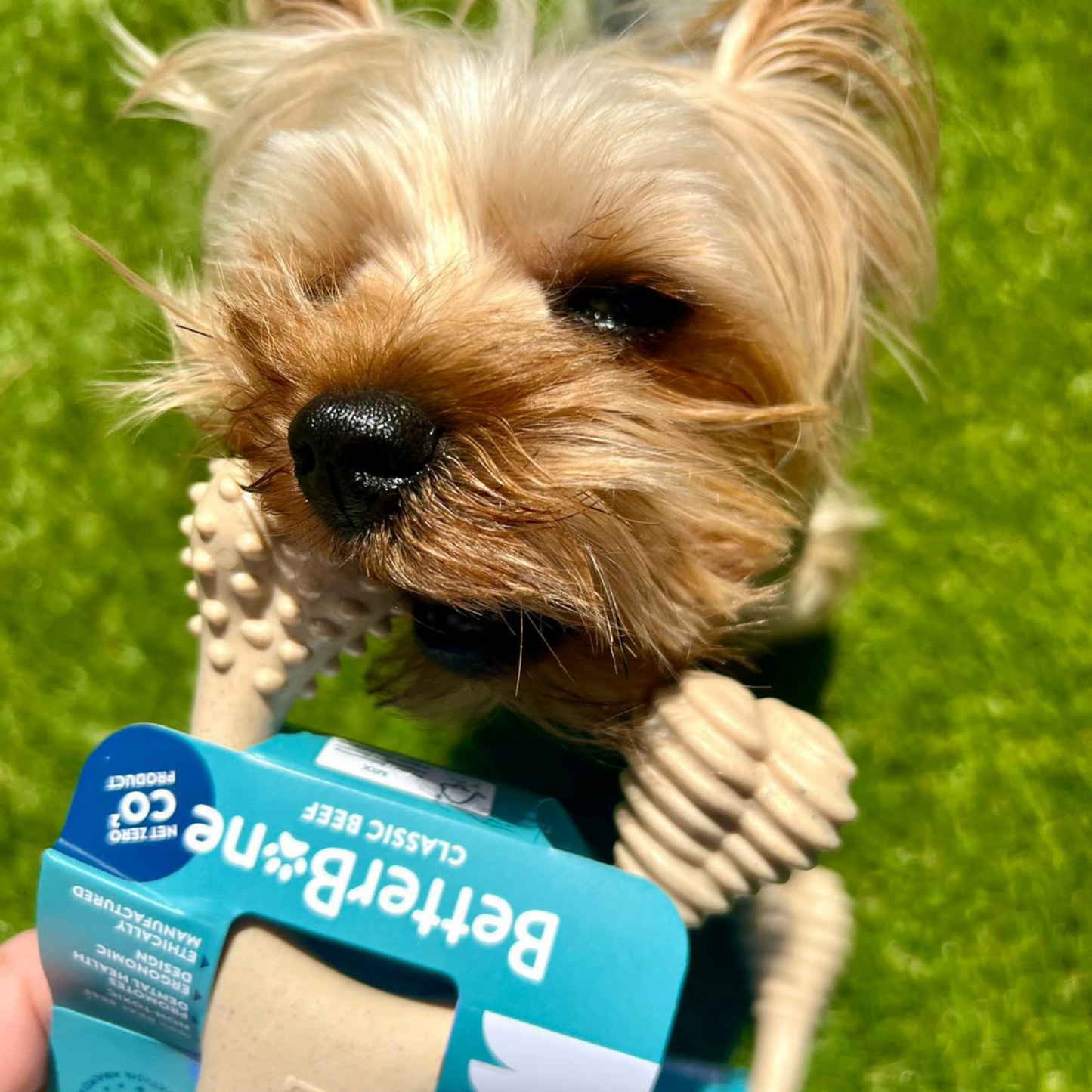 BetterBone SOFT Durability CHEW TOY: Natural Ingredients, Perfet for Teething Puppies, Senior Dogs & Gentle Chewers BetterBone All Natural Eco-Friendly Dog Chews & Bones