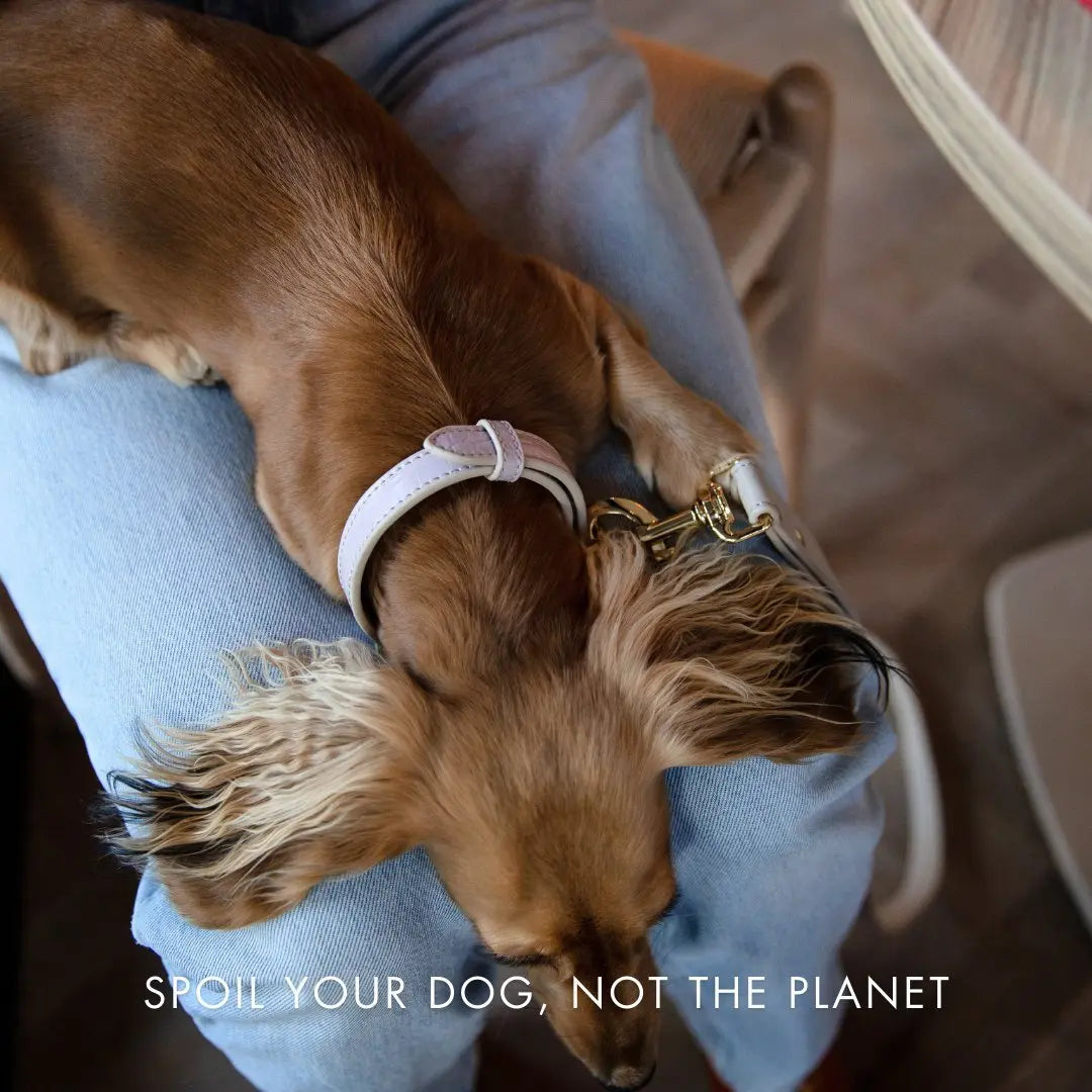 Collar - Vegan Leather Nina Woof