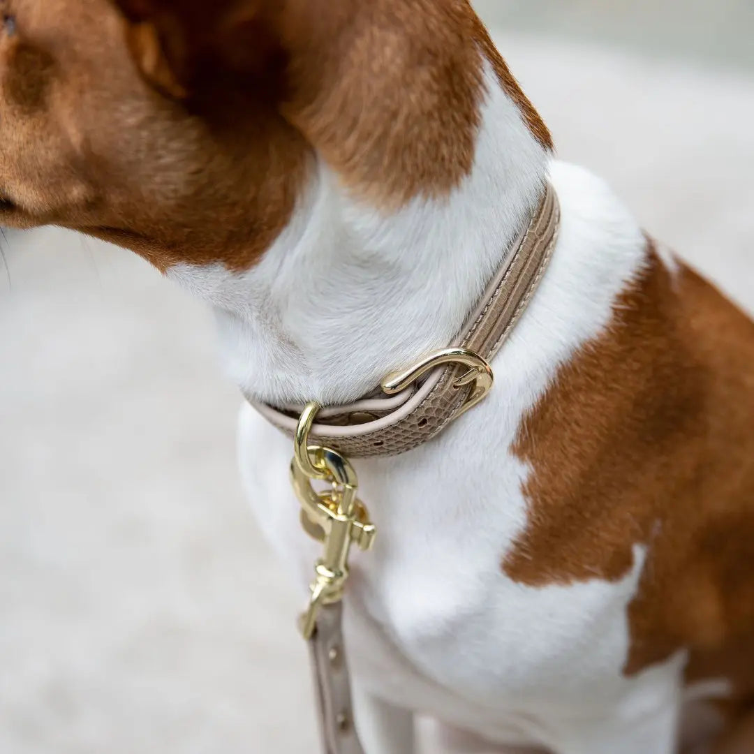 Collar - Vegan Leather Nina Woof
