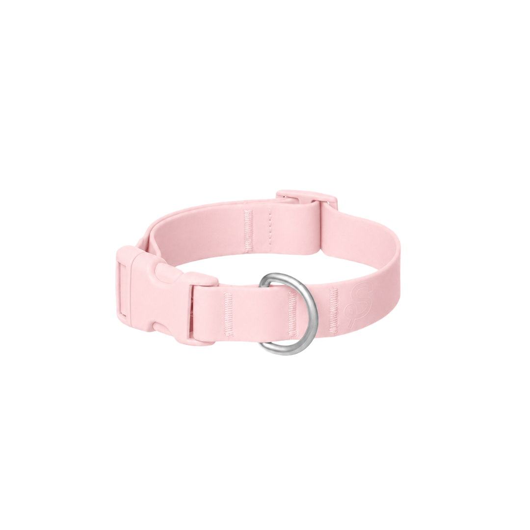 Waterproof Dog Collar