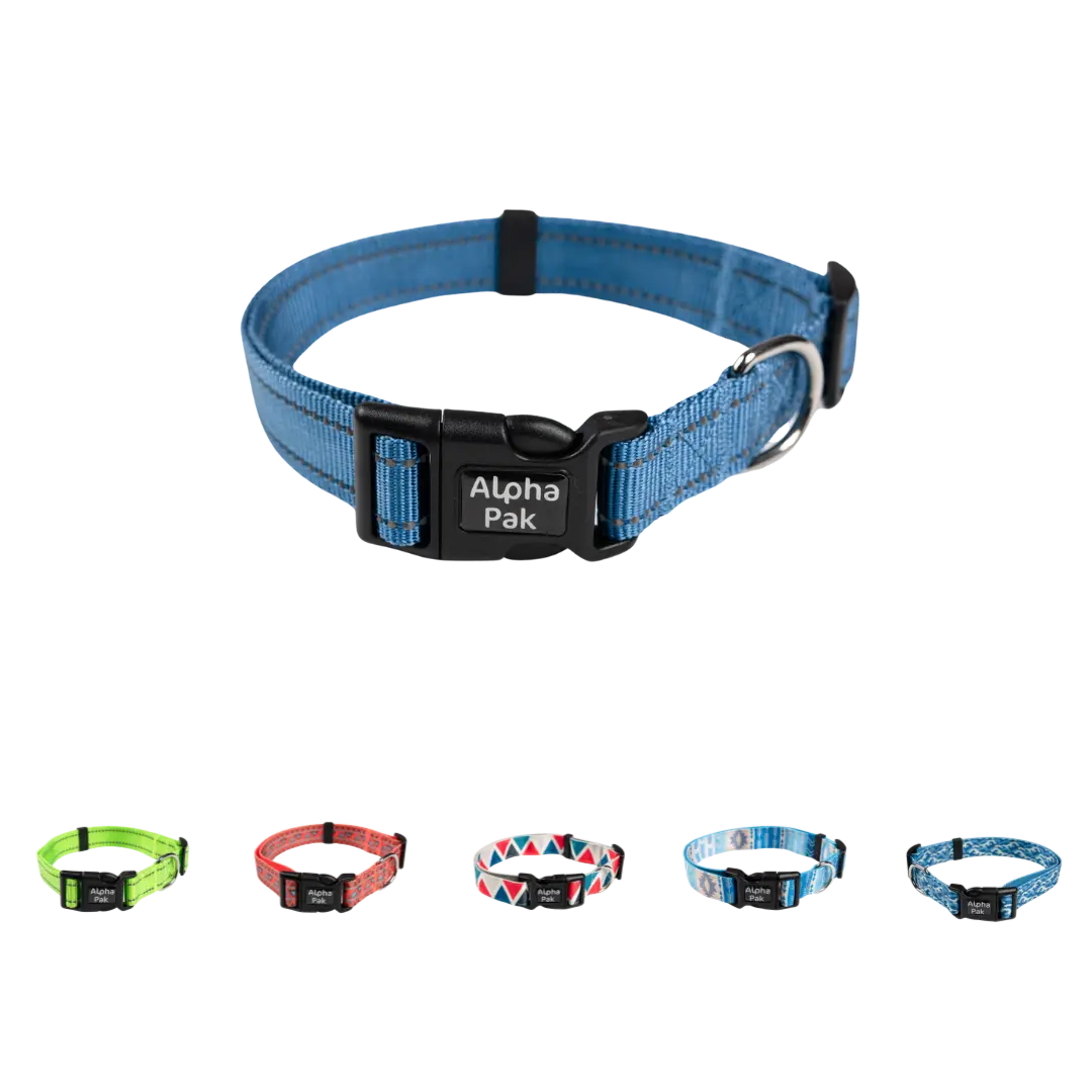 Everyday Adventure Dog Collar Alpha Pak