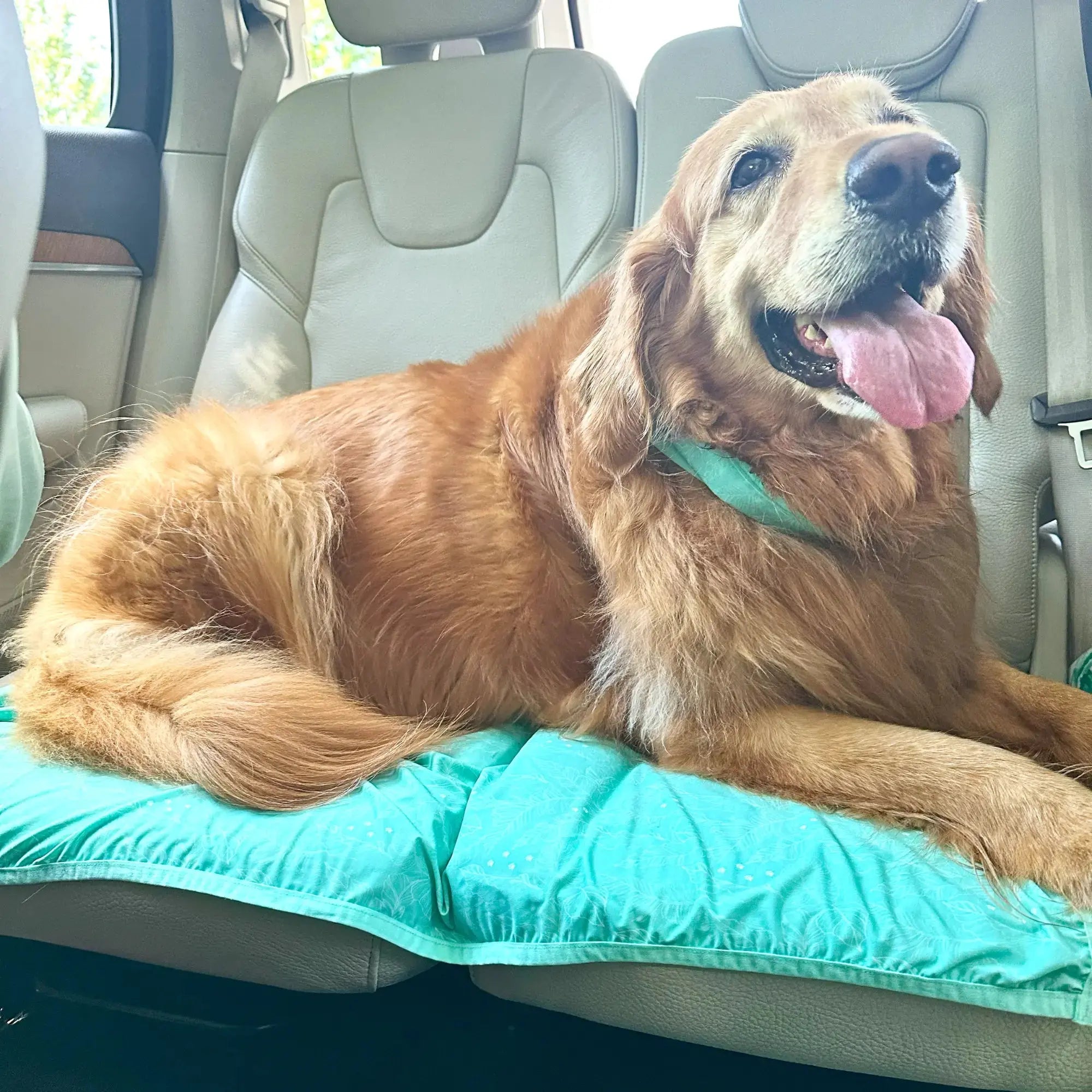 CoolingPals Dog Cooling Sheet