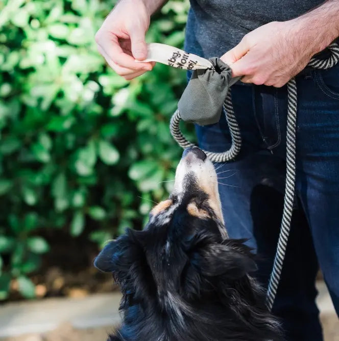 Cloth Dog Poop Bag Holder in Cotton Canvas | Boba & Vespa