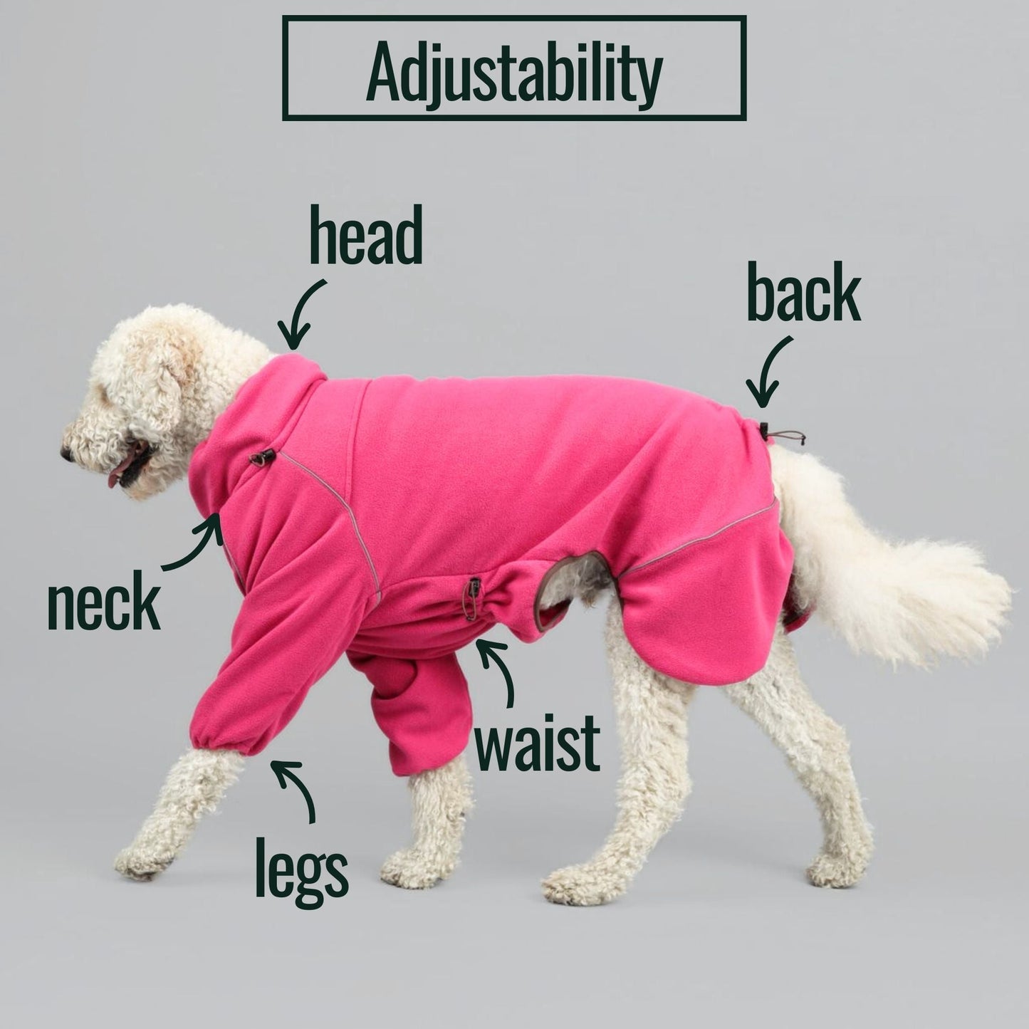 Cozy Hugger Jacket WOOFESSENTIAL