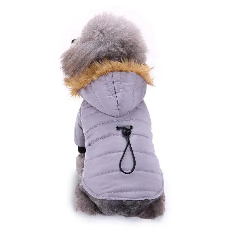 Cozypaws Winter Pet Jacket Dog Hugs Cat