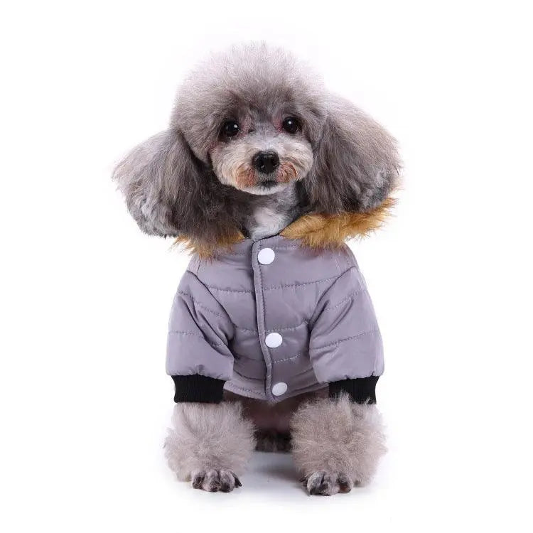 Cozypaws Winter Pet Jacket Dog Hugs Cat