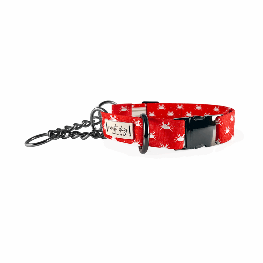 Crabby Red Maryland Crab Coastal Buckle & Martingale Dog Collar Nauti-dog Handmade