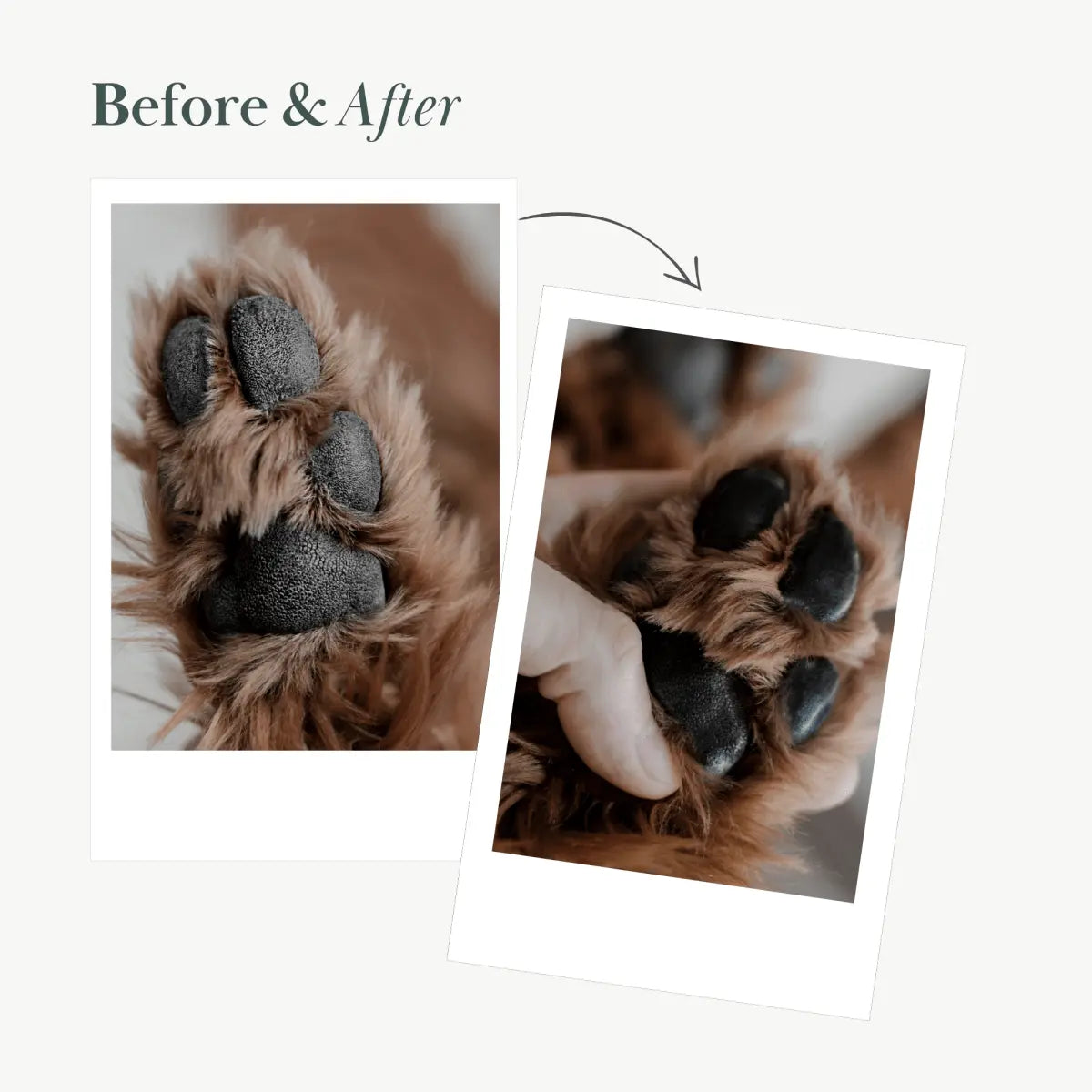 Dog Vegan Nose and Paw Balm Nina Woof
