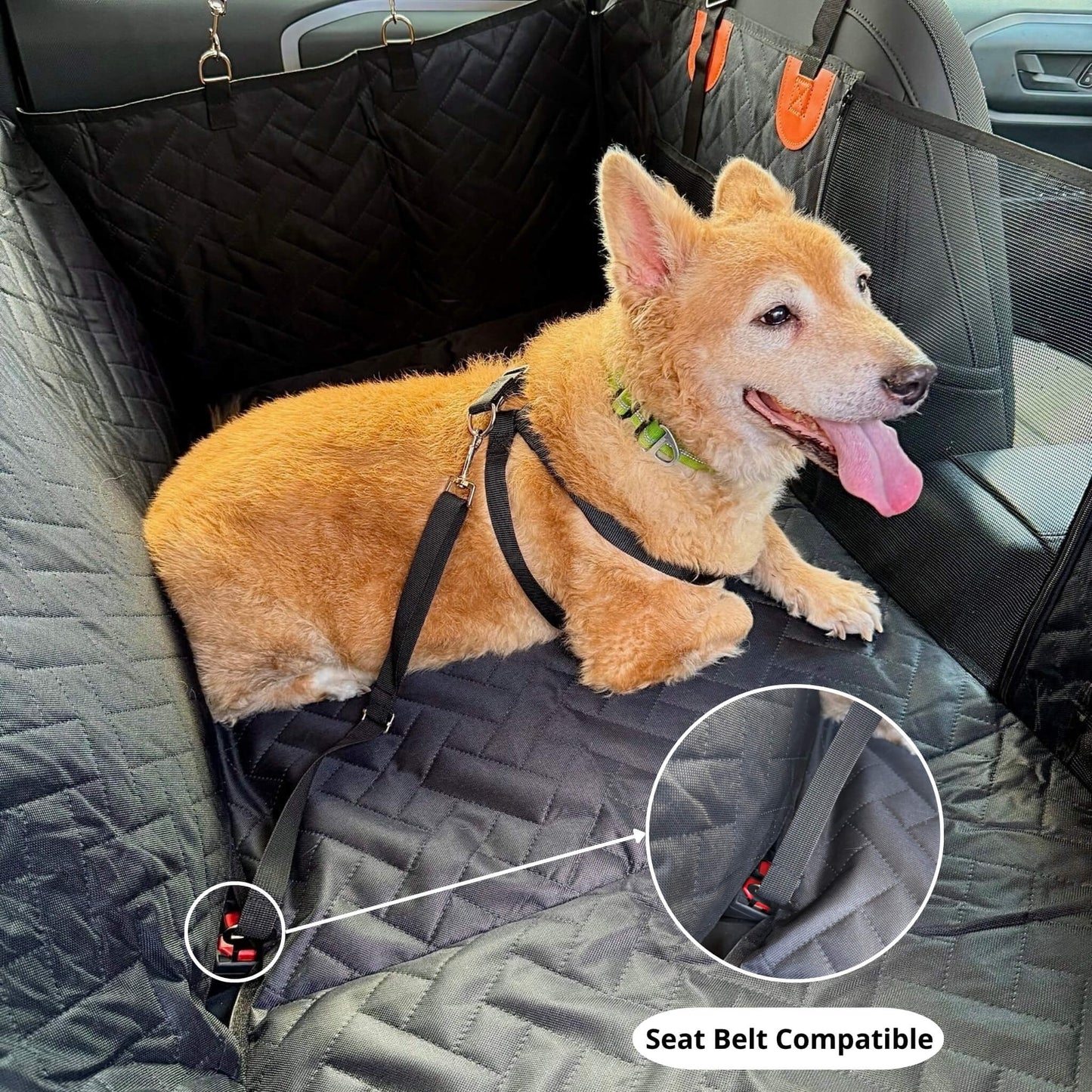 Dog Seat Cover with Hard Bottom Whisker Bark