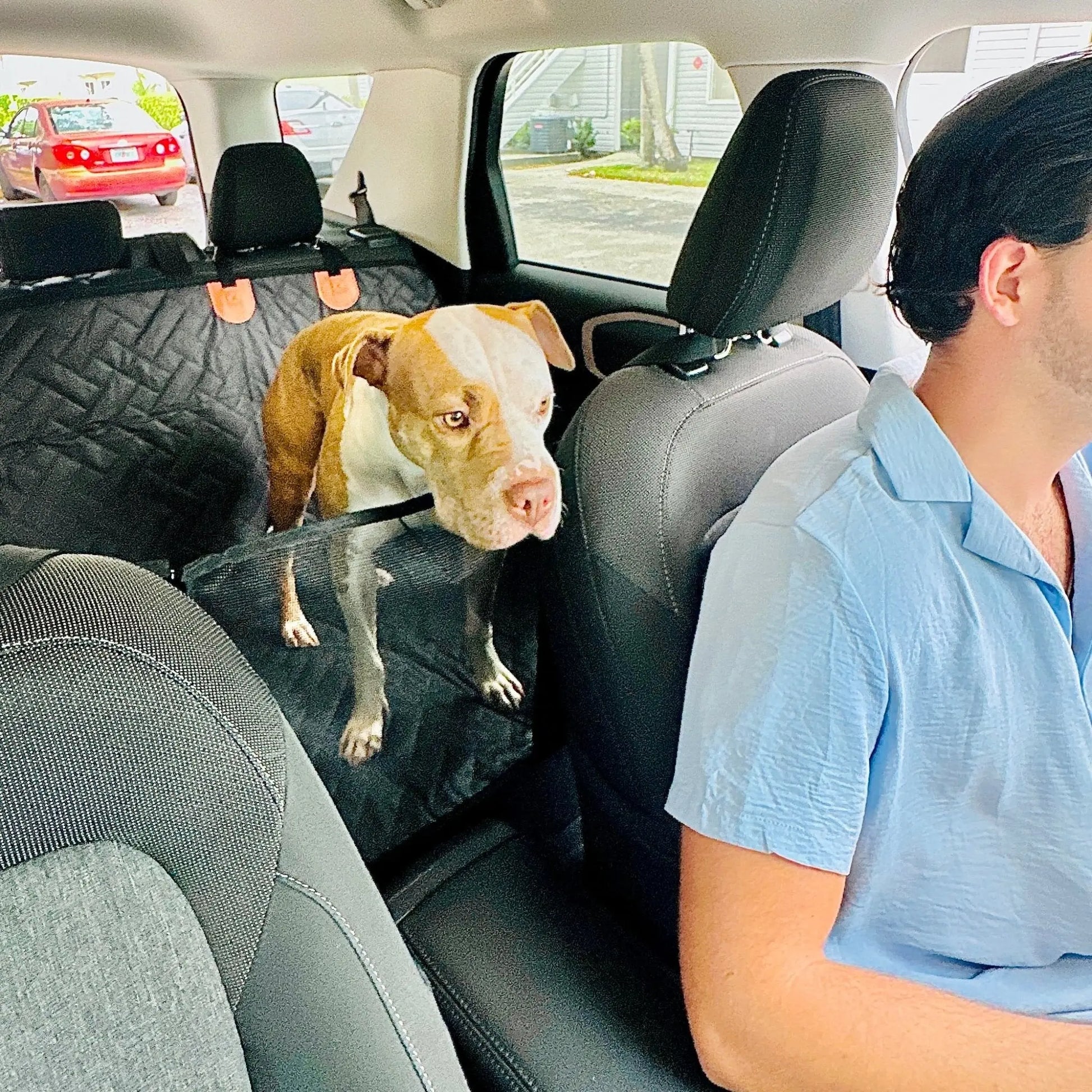 Dog Seat Cover with Hard Bottom Whisker Bark