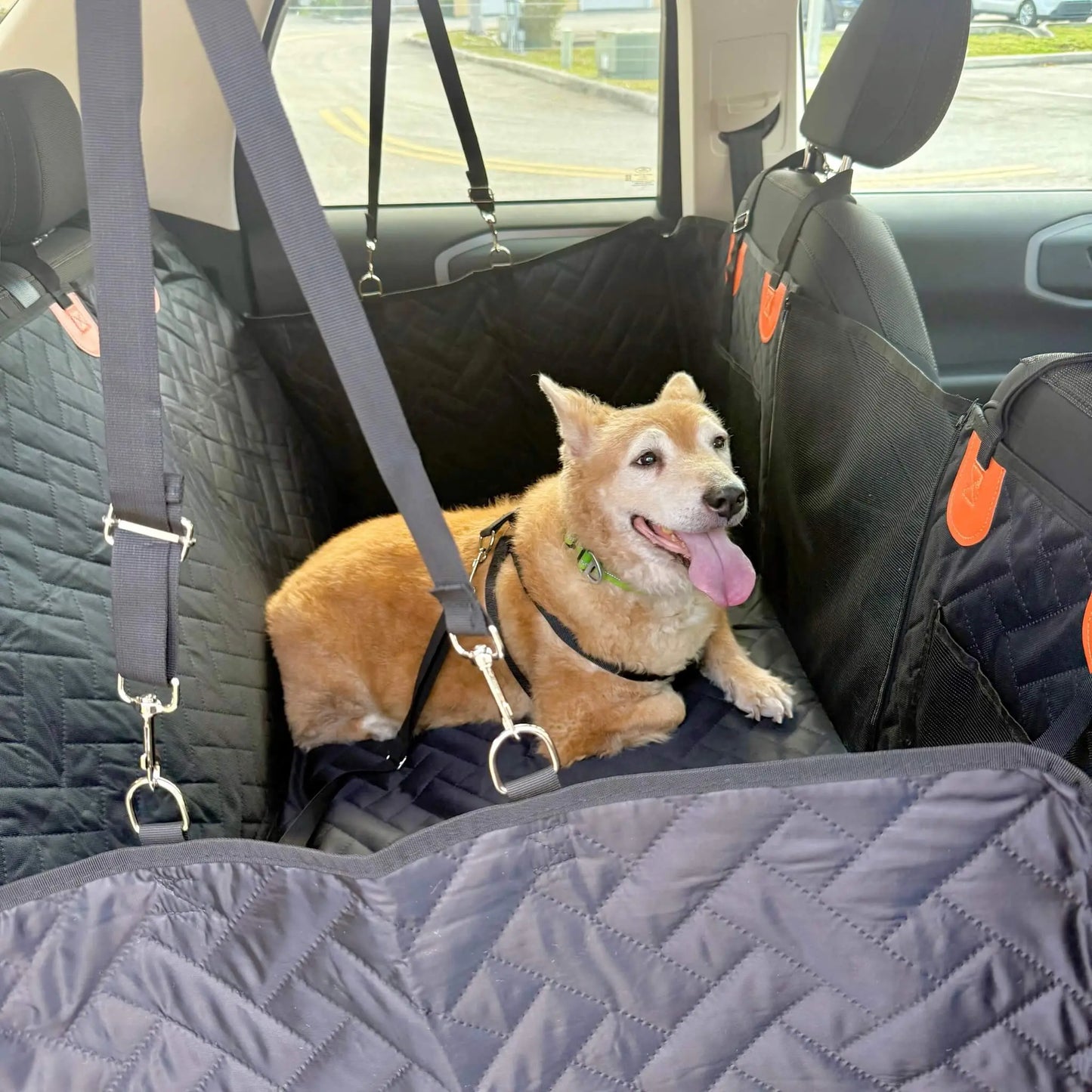 Dog Seat Cover with Hard Bottom Whisker Bark