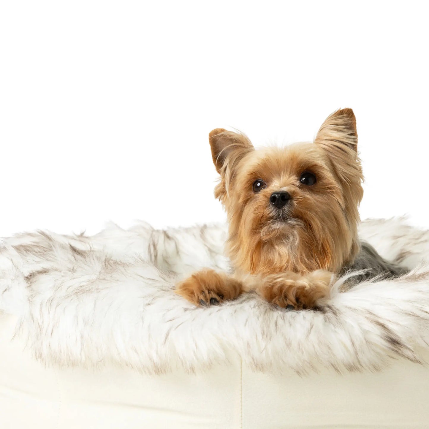 PupPouf™ Faux Fur Donut Dog Bed - White with Brown Accents Paw.com