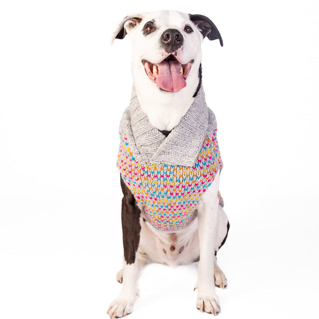 Sprinkles Dog Sweater