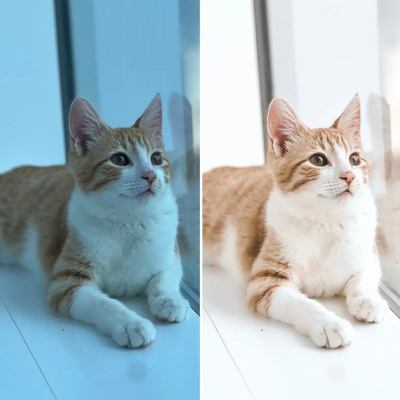 Fur Elise Dreamy Presets