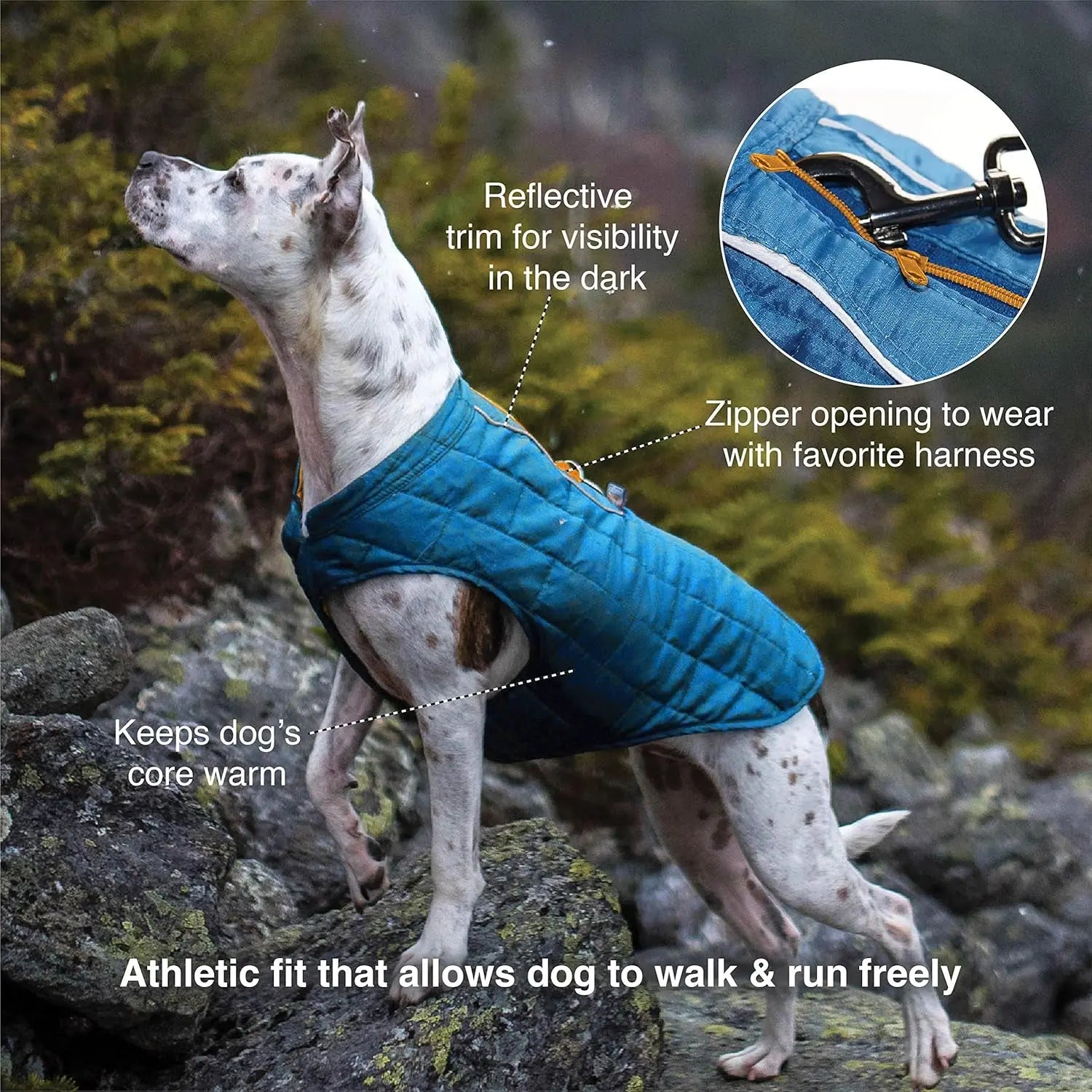 Dog Jacket, Reversible Winter Jacket for Dogs, Pet Coat for Hiking, Water Resistant, Reflective, Lightweight, Wear with Harness, Athletic, Loft Jacket (Liberty Floral, S), Floral/Magenta