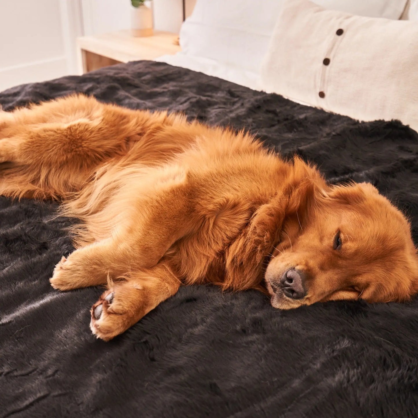 PupProtector™ Summer Short Fur Waterproof Throw Blanket - Midnight Black Paw.com