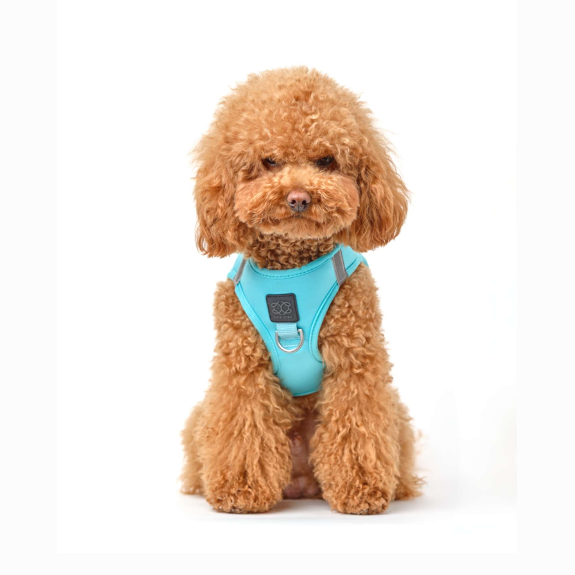 SoHo Dog Harness - Fifth Avenue Dogistry™