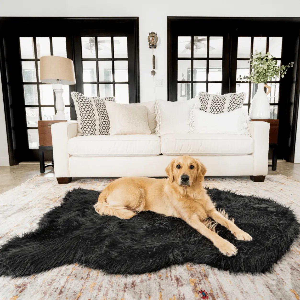 PupRug by Paw.com® Faux Fur Orthopedic Dog Bed - Curve Midnight Black Paw.com