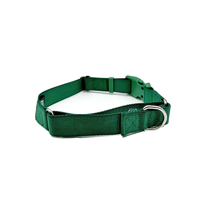 Martingale Dog Collar