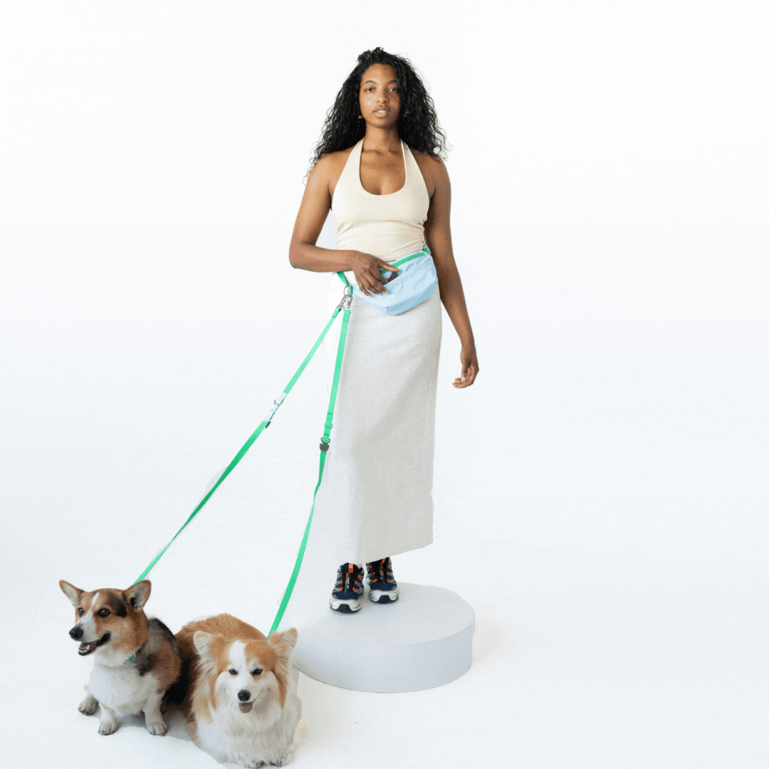 Hands-Free Dog Walking Bag with 4ft Leash