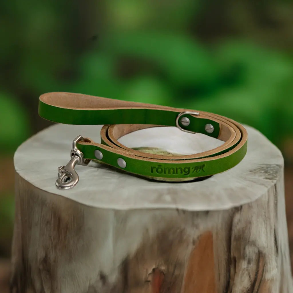 48" Genuine Leather Dog Leashes - Made in USA rōmng