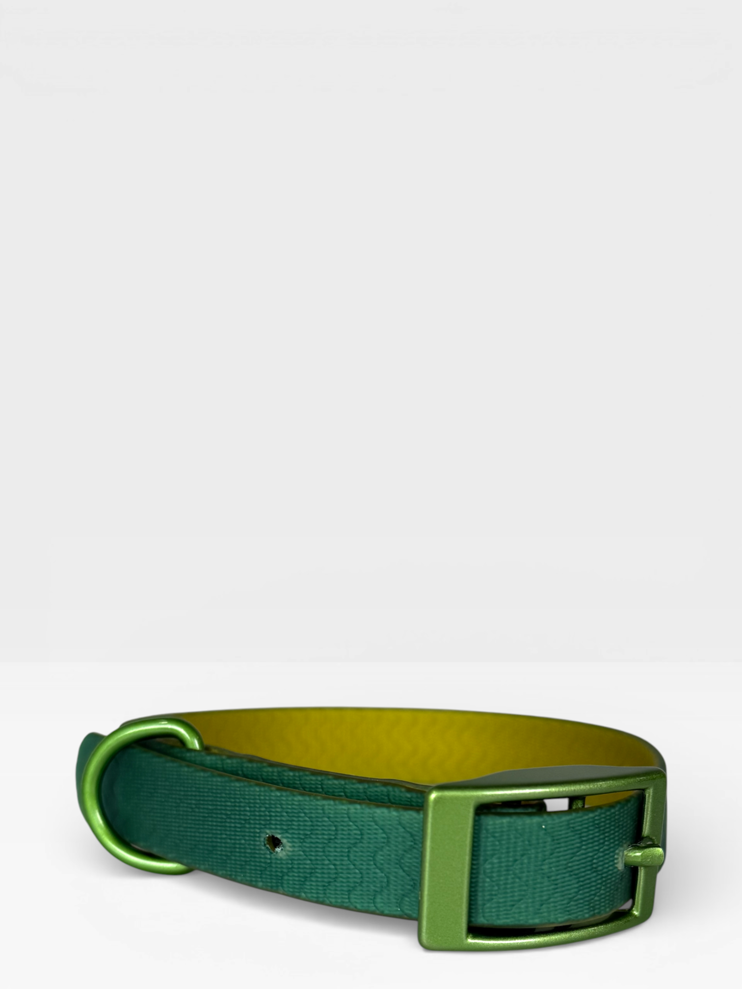 Green Jelly Collar - Waterproof Collar For Small Dogs