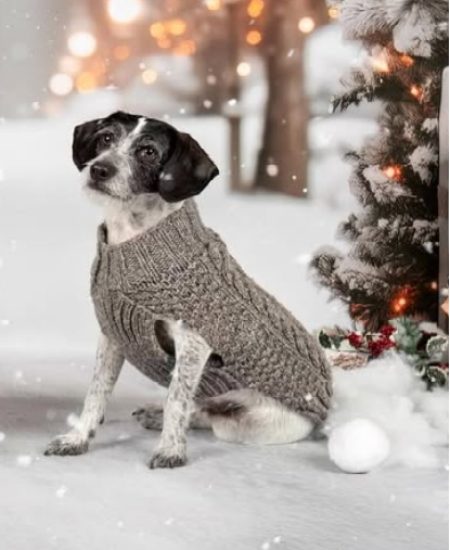 Gray Cable Knit Dog Sweater
