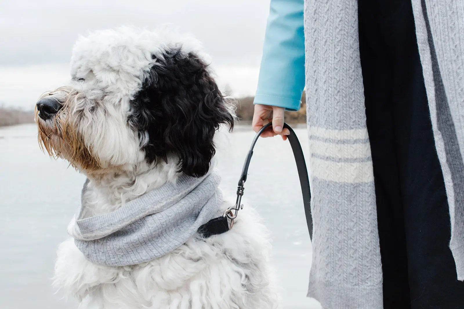 Cashmere Blend Scarf sets for Pets and their humans, Heather Grey