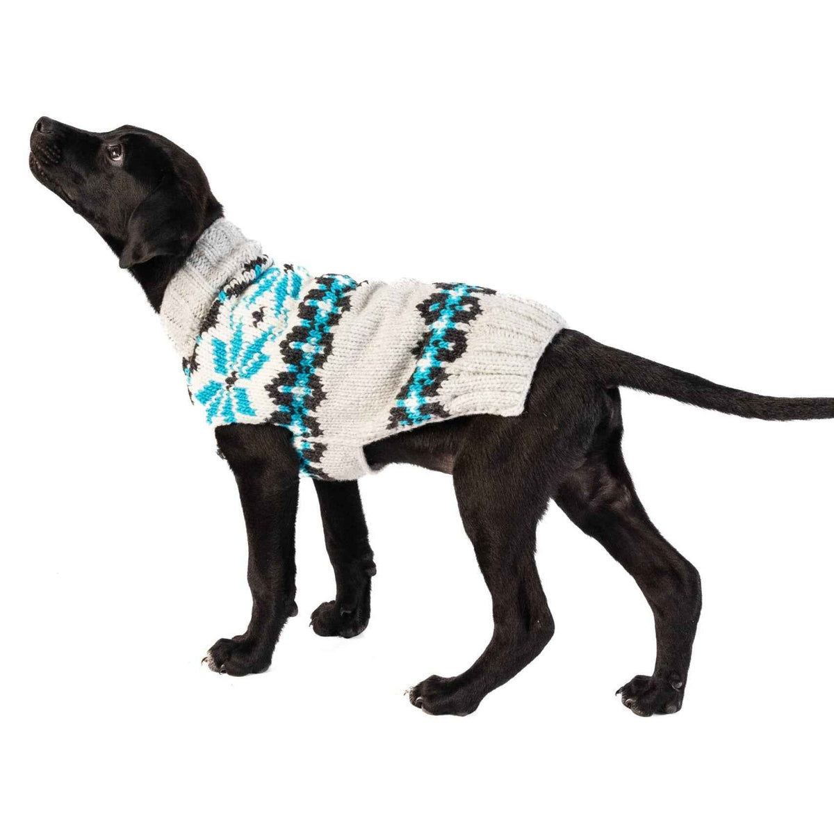 Frost Dog Sweater