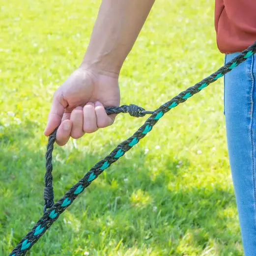 Forever Leash Carmella & Rose