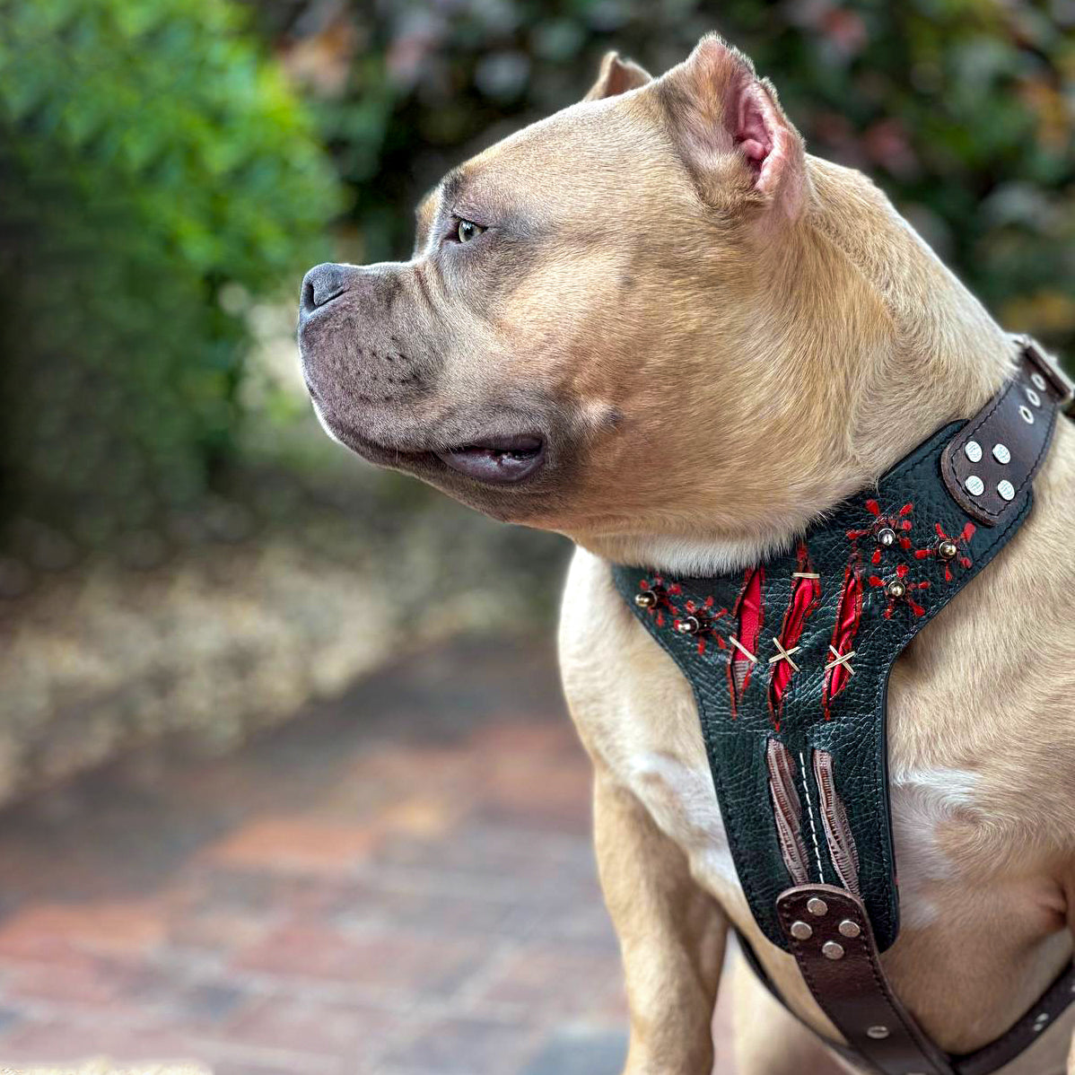 Bestia Haunted Leather Dog Harness – Limited Edition
