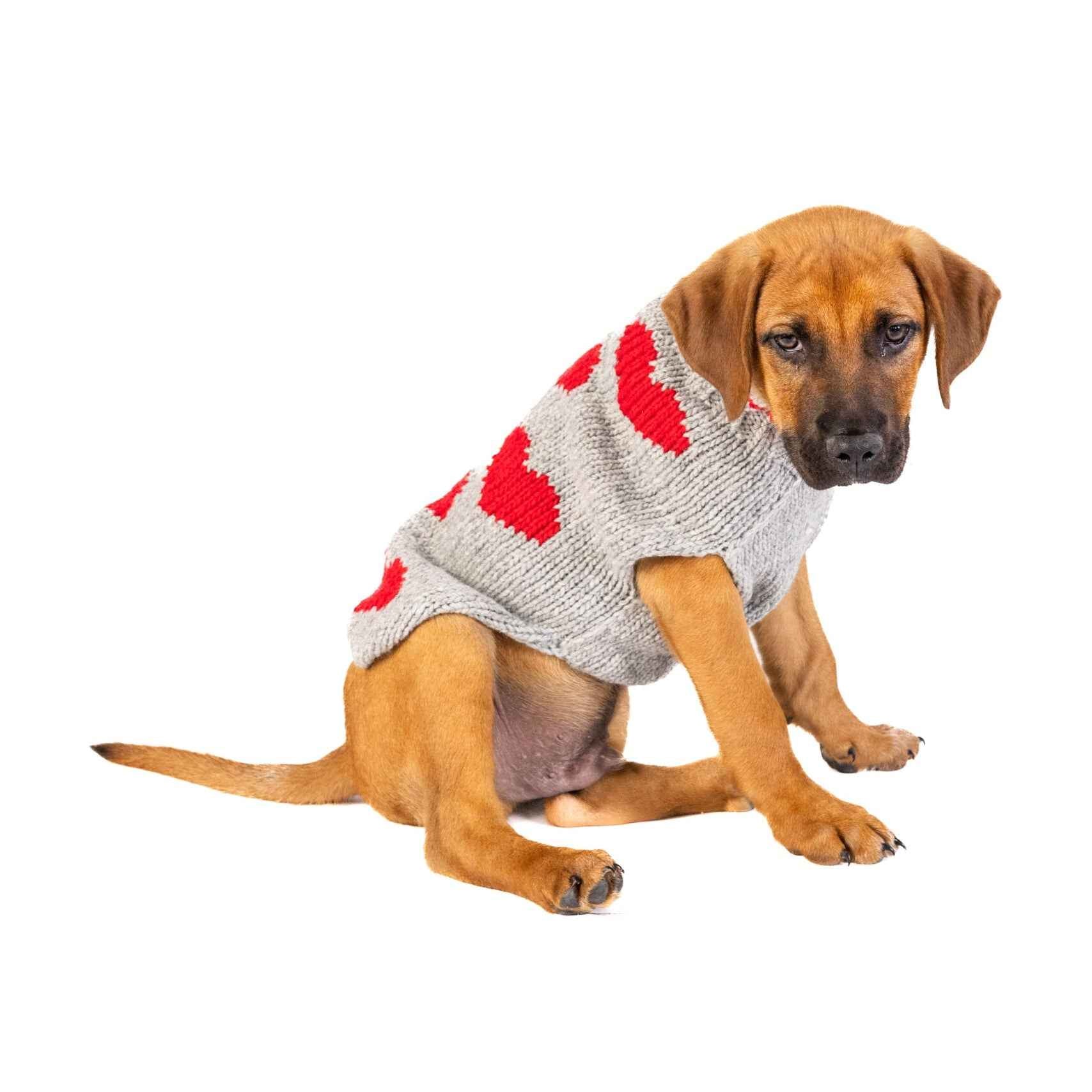 Red Hearts Dog Sweater