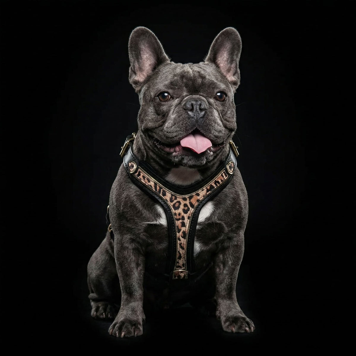 Bestia Leopard Leather Dog Harness – Small–Medium Dogs