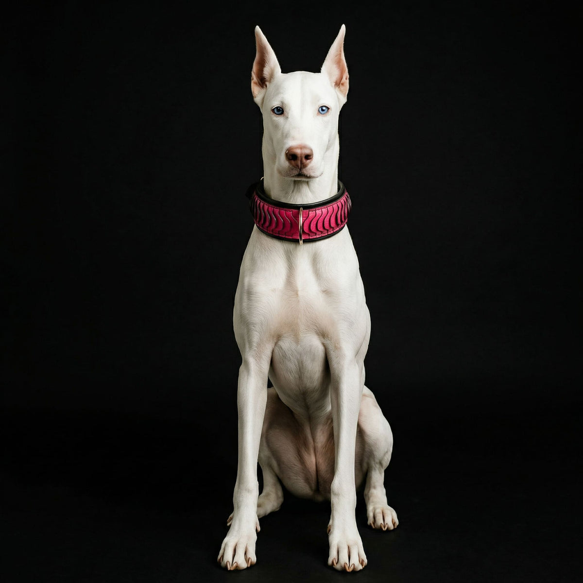 Bestia Spine Leather Dog Collar