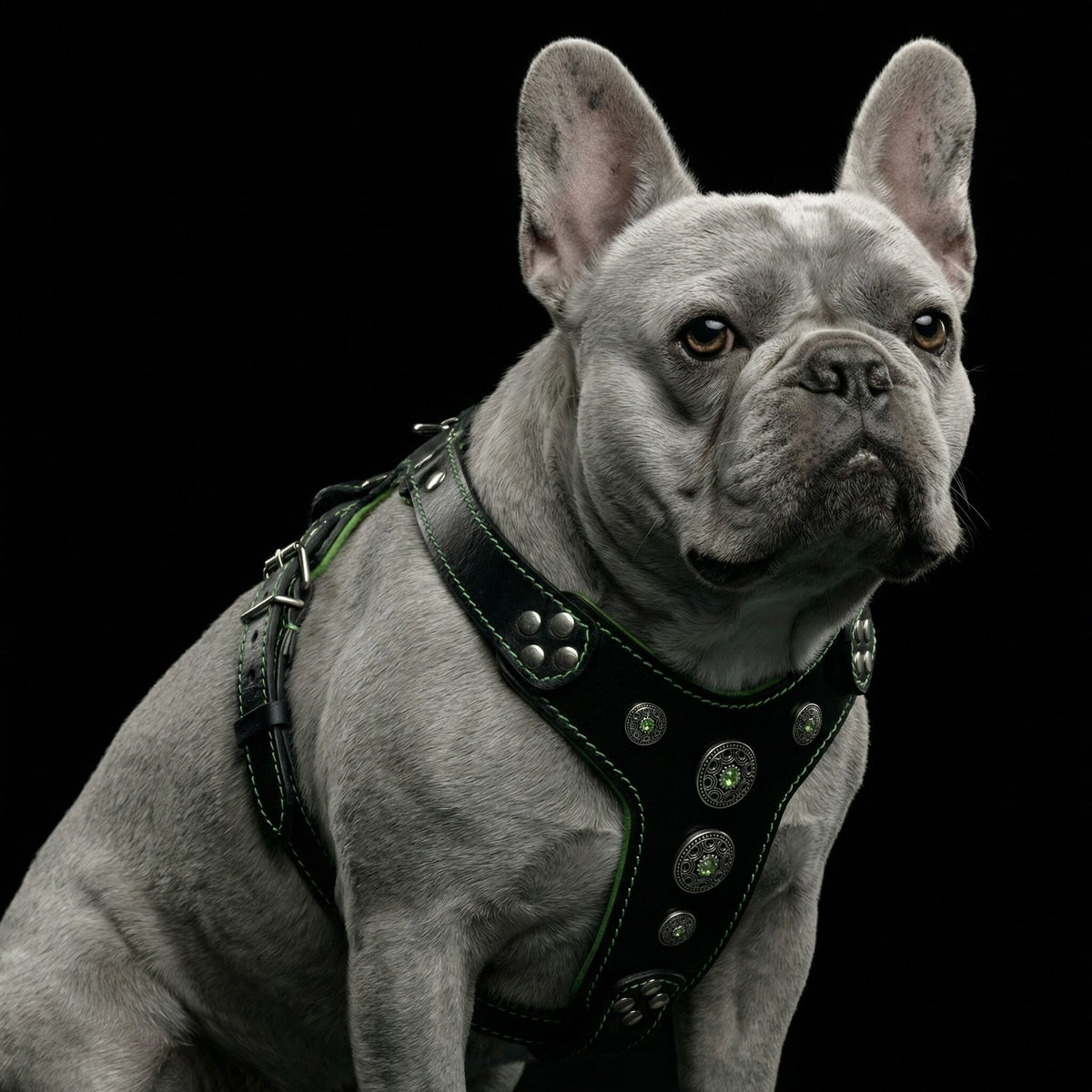 Bestia Bijou Leather Dog Harness – Black & Green, Small–Medium Dogs