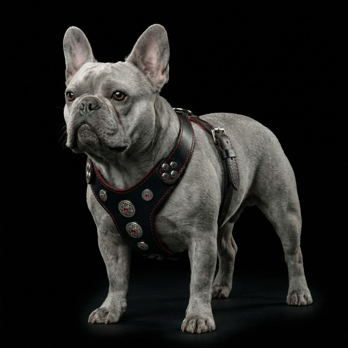 Bestia Bijou Leather Dog Harness – Black & Red, Small–Medium Dogs