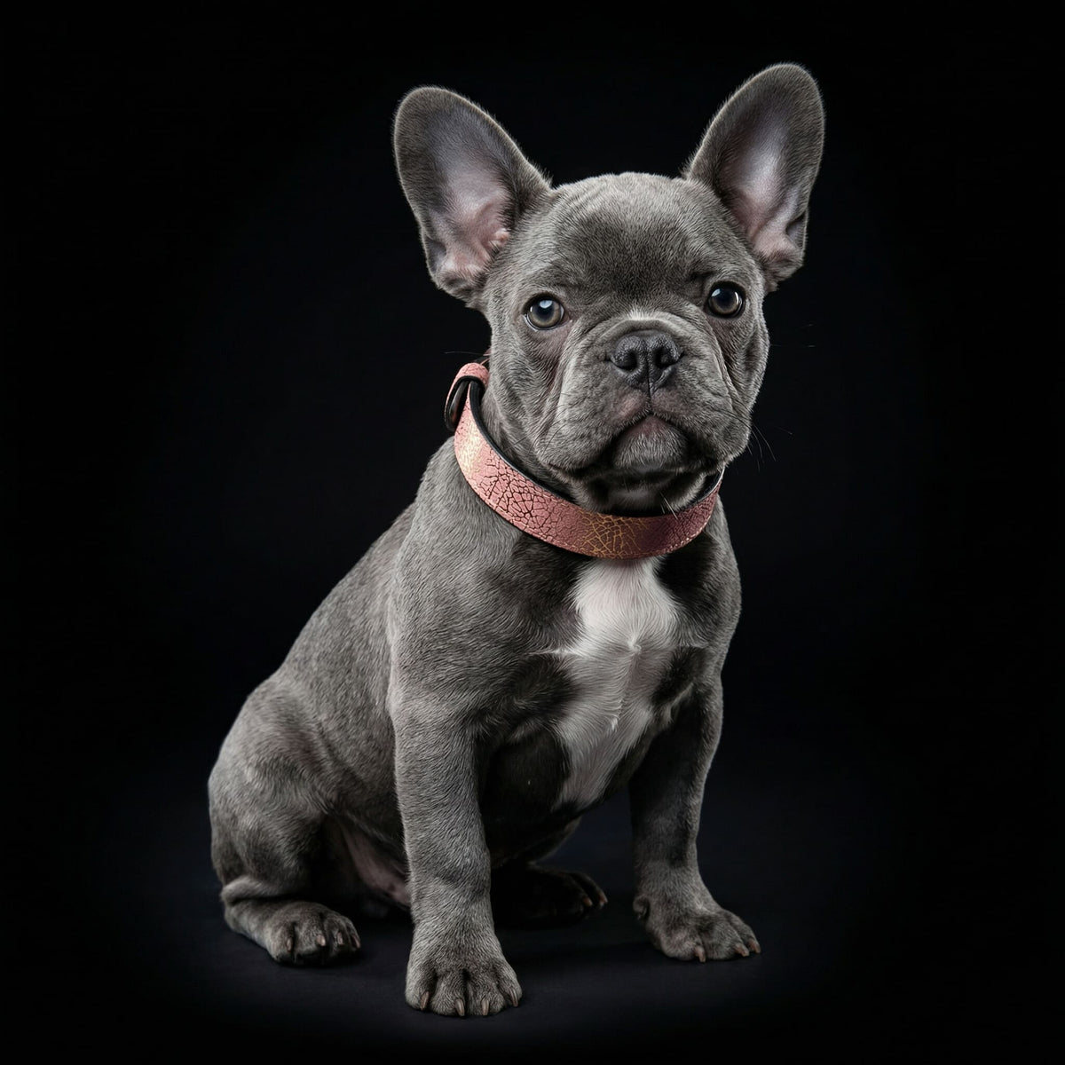 Bestia Nostalgia Rose Leather Puppy Collar