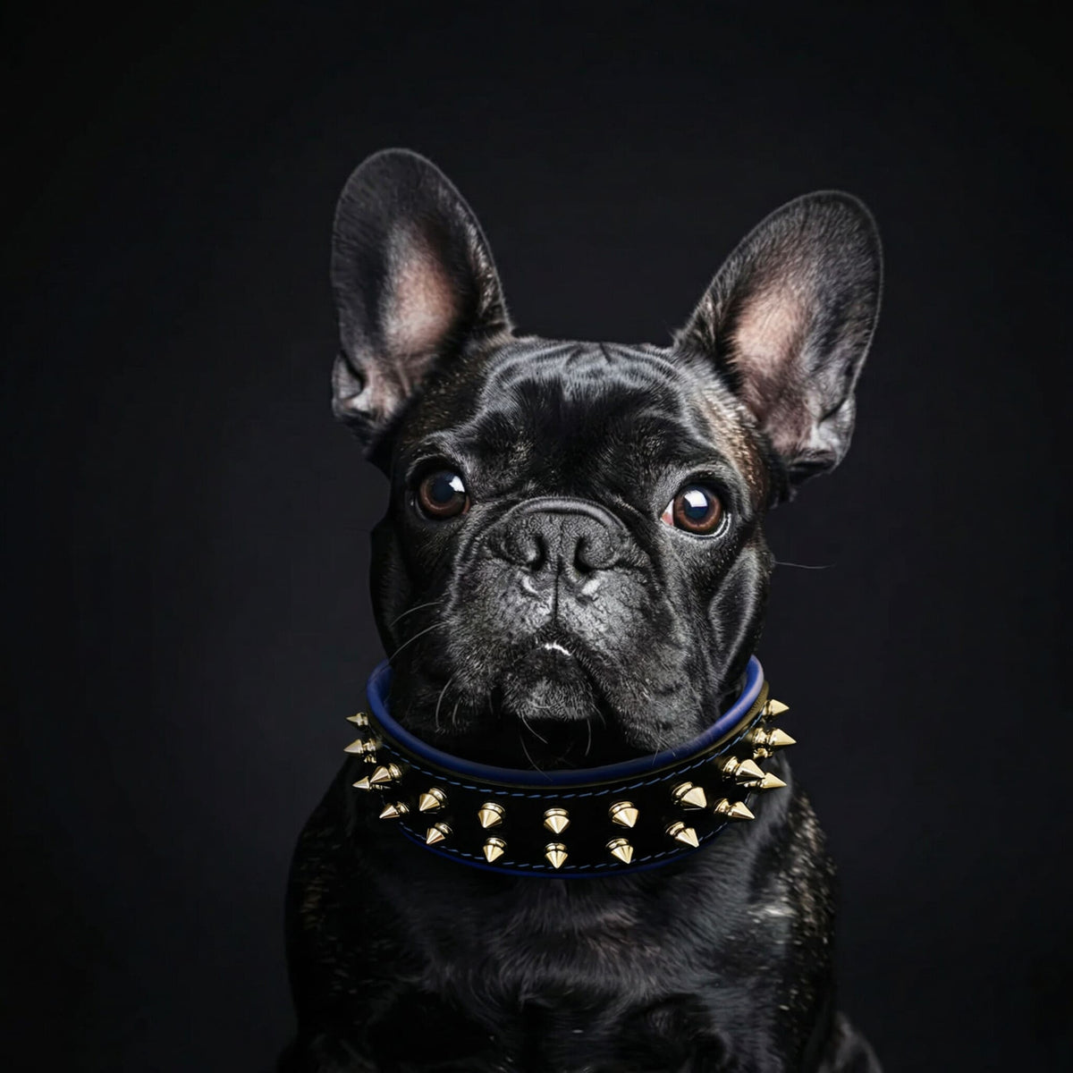Bestia Frenchie Leather Dog Collar