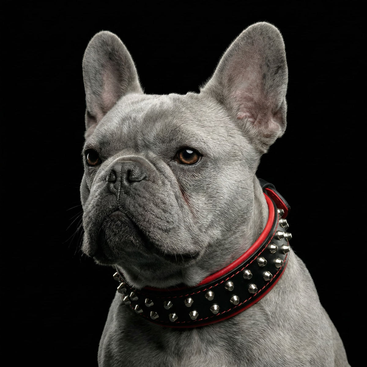 Bestia Rocky Leather Dog Collar