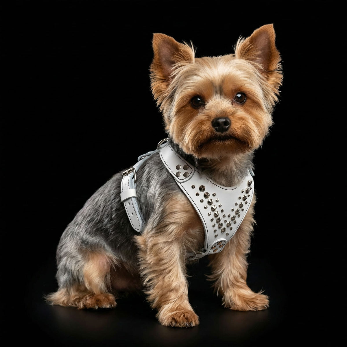 Bestia Star Leather Dog Harness – Small–Medium Dogs
