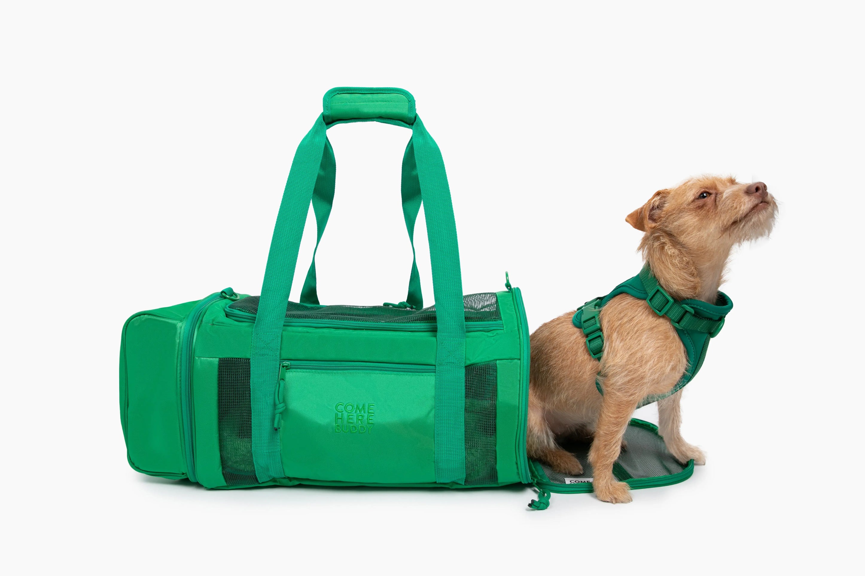 Travel Buddy - Pet Carrier - K9 Outdoors