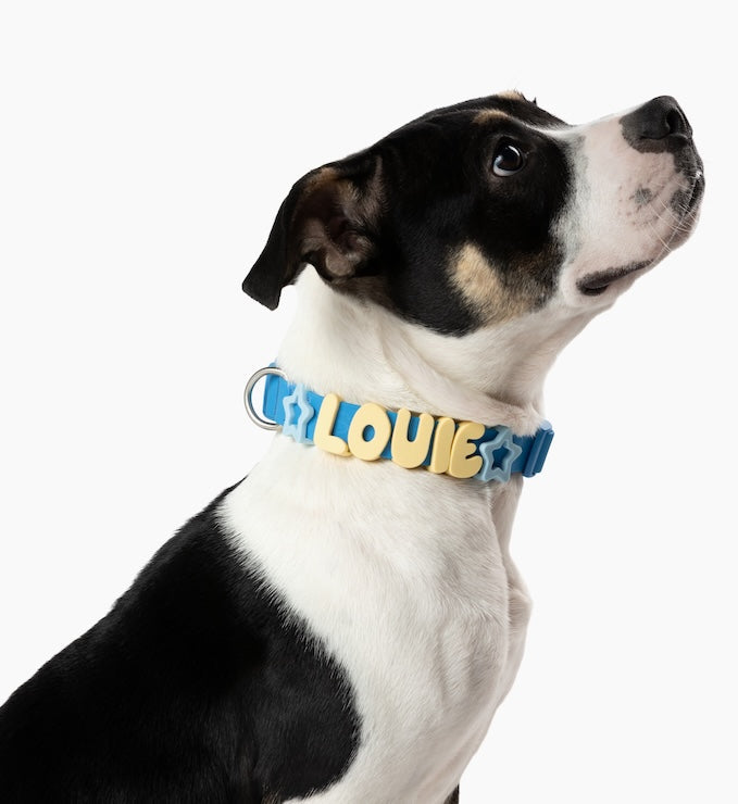 Waterproof Dog Collar
