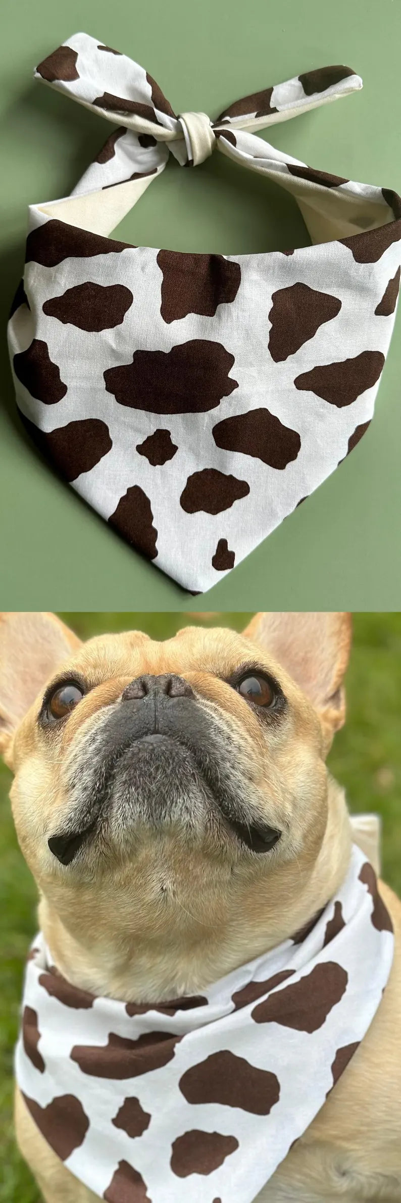 Cow Print Dog Bandana Happy Tails Outfitters