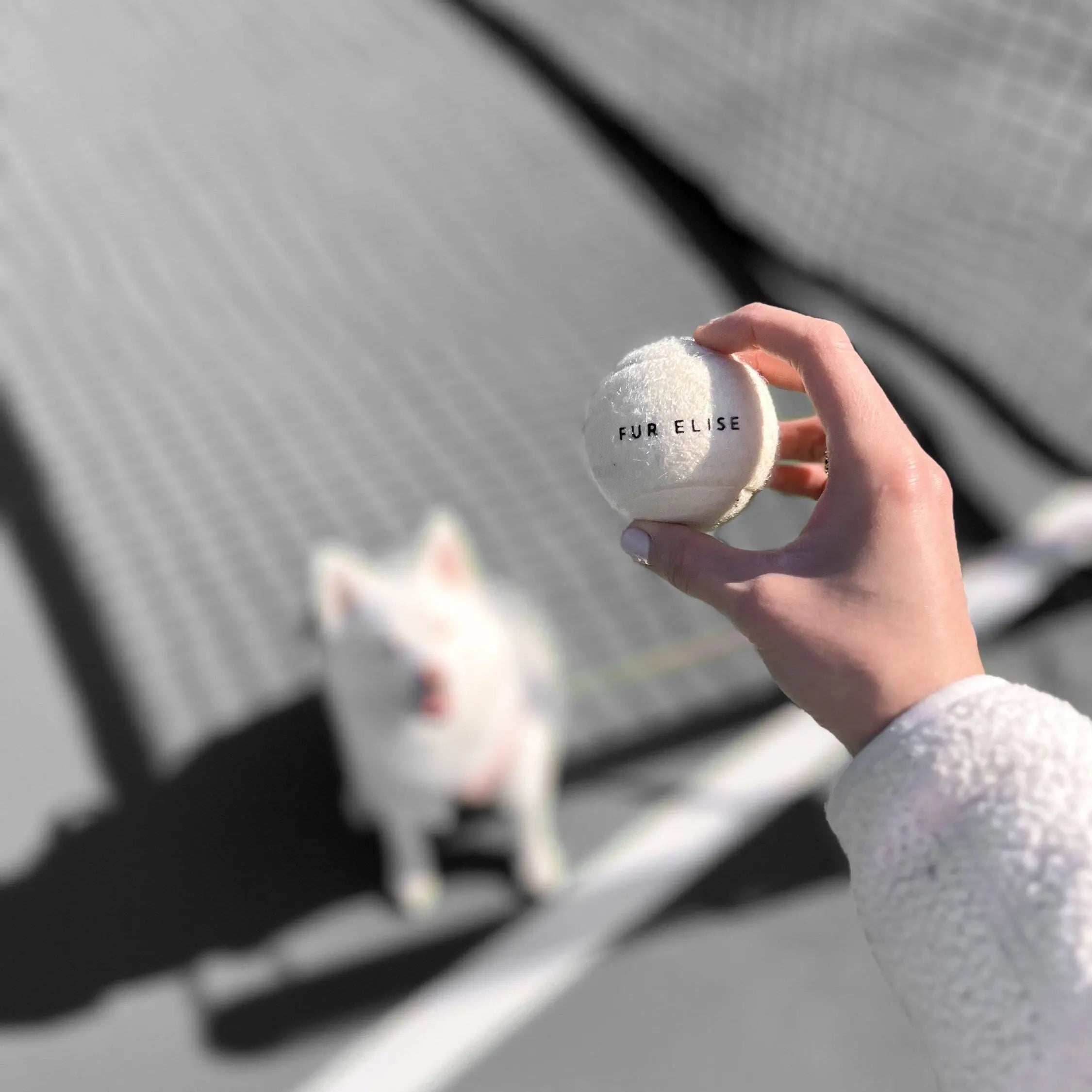 Fur Elise Classic Tennis Ball - Bone
