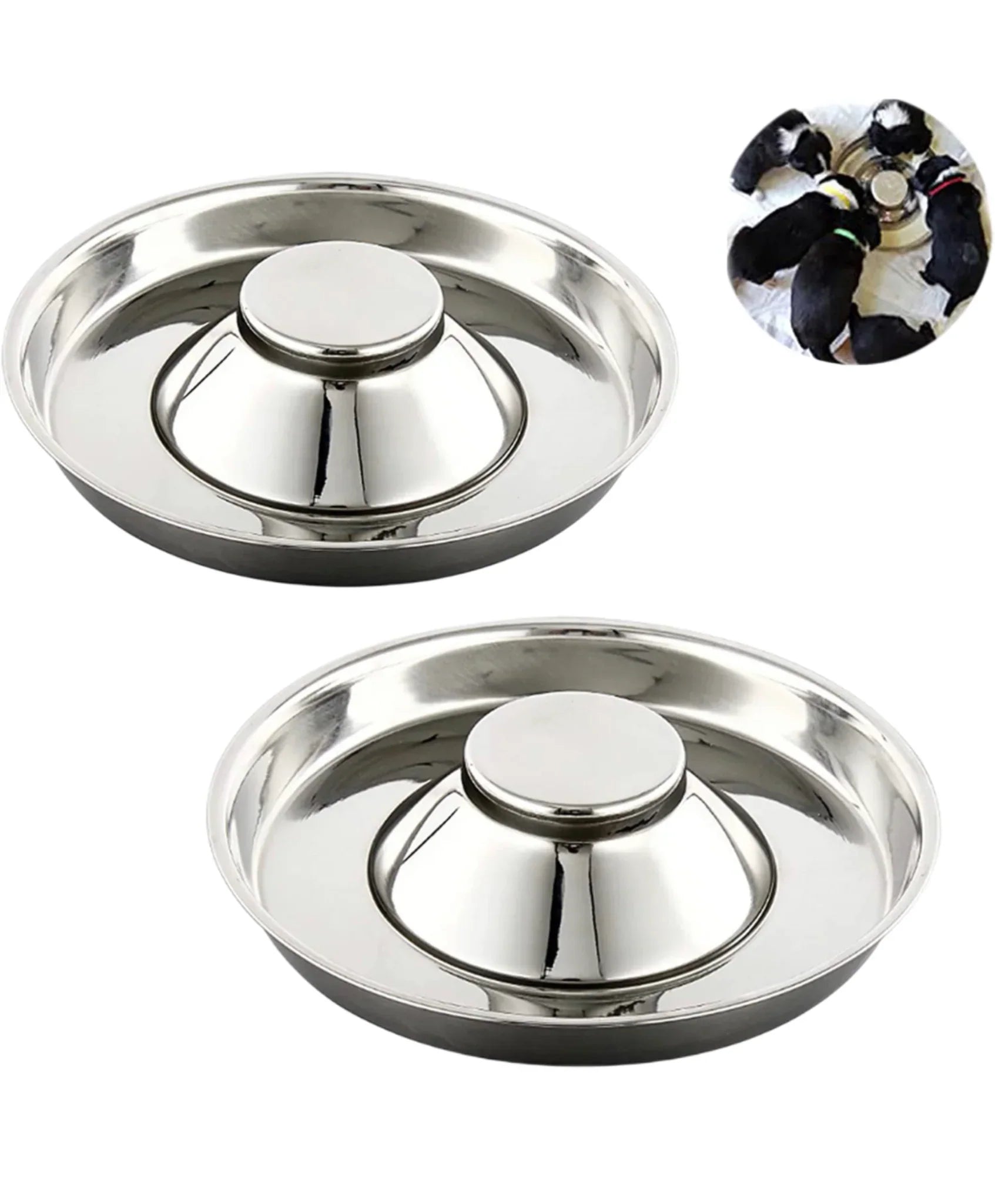 Stainless steel Weaning puppy food bowls Horizon Animal Care