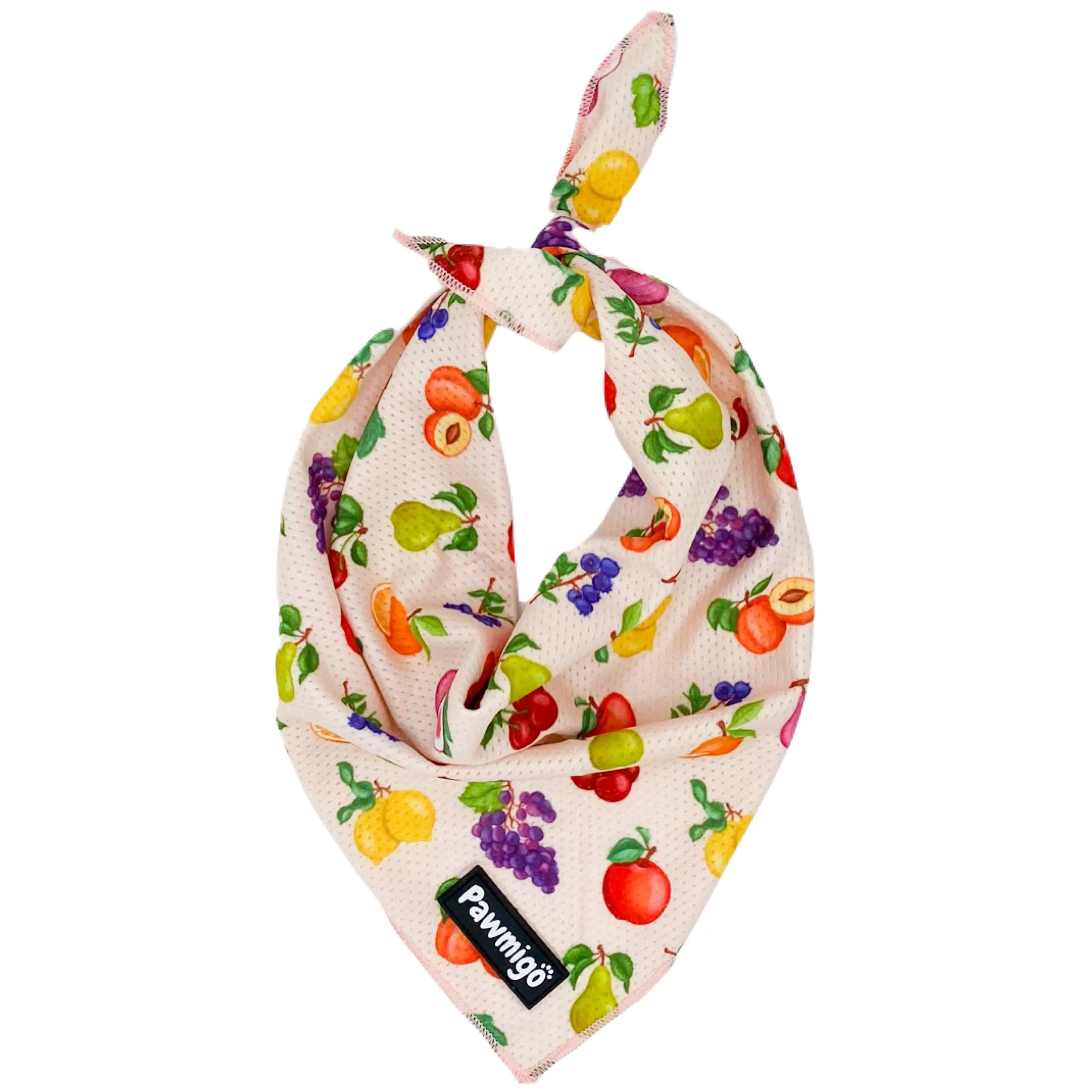Frootie Patootie Cooling Bandana