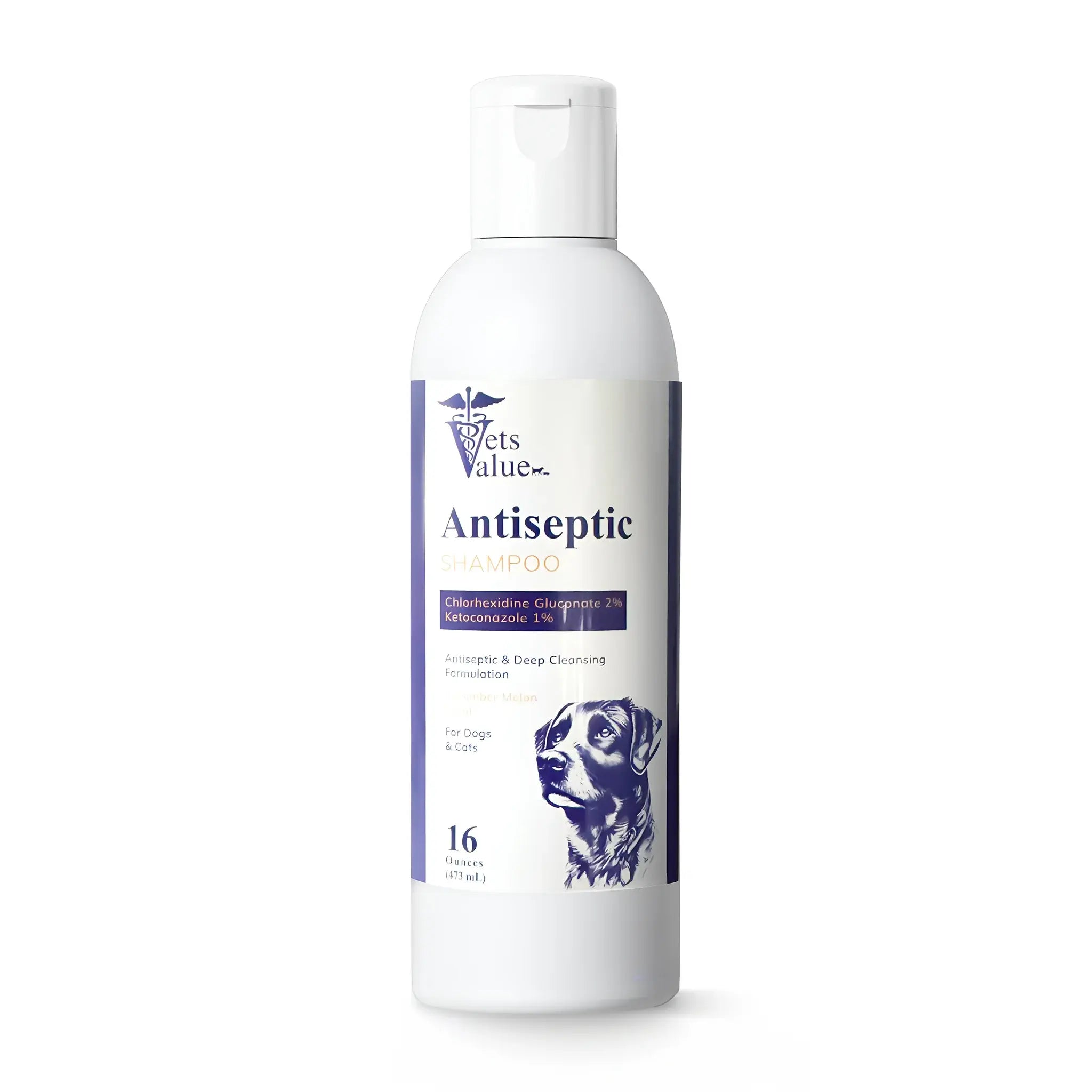 Ketoconazole / Chlorhexidine Medicated Dog Shampoo Horizon Animal Care