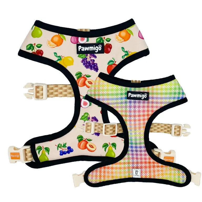 Frootie Patootie Reversible Harness Pawmigo