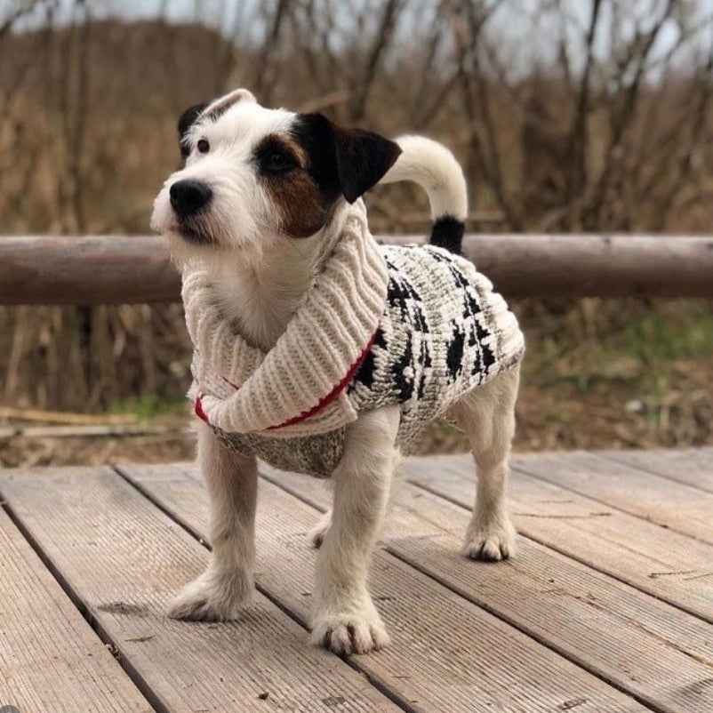 Jackson Dog Sweater
